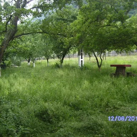 Pensiunea Irina 3 Guest house Zarnesti