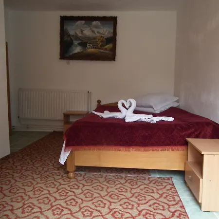 Pensiunea Irina 3 Zarnesti