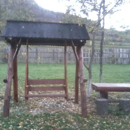 Pensiunea Irina 3 Guest house 2*