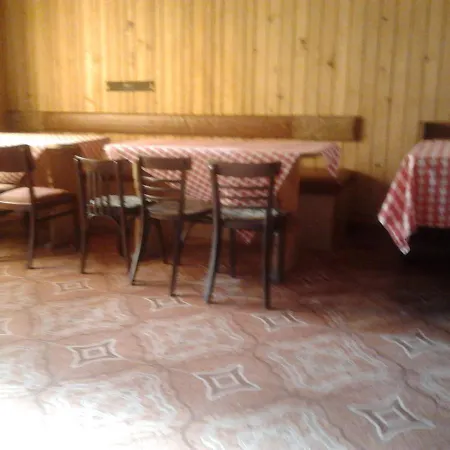 Guest house Pensiunea Irina 3