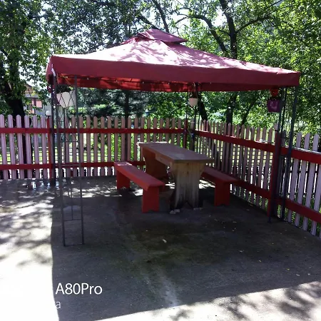 Pensiunea Irina 3 Guest house Zarnesti