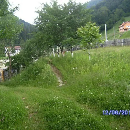 Guest house Pensiunea Irina 3 2*