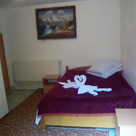 Vendégház Pensiunea Irina 3