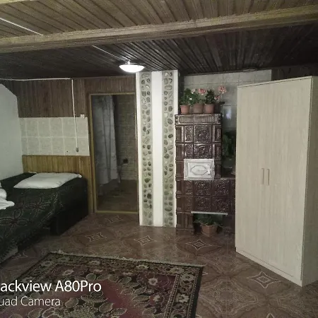 Guest house Pensiunea Irina 3