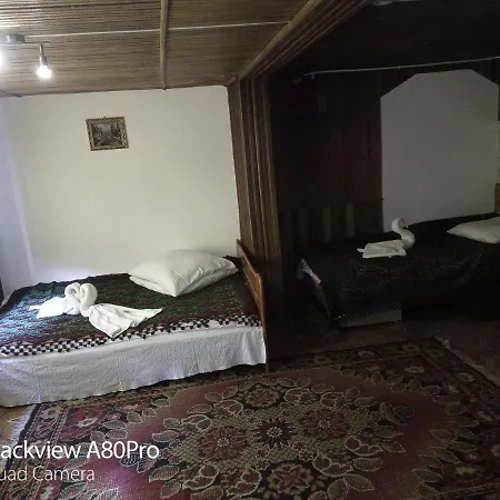 Guest house Pensiunea Irina 3 Zarnesti