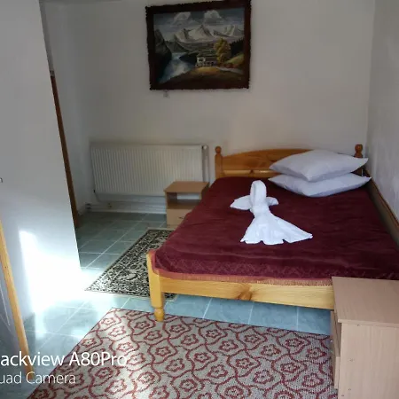 Guest house Pensiunea Irina 3 Zarnesti