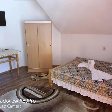 Guest house Pensiunea Irina 3 2*