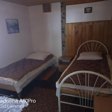 Pensiunea Irina 3 Guest house 2*