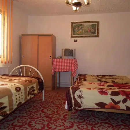 Pensiunea Irina 3 Guest house