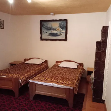 Pensiunea Irina 3 Guest house 2*