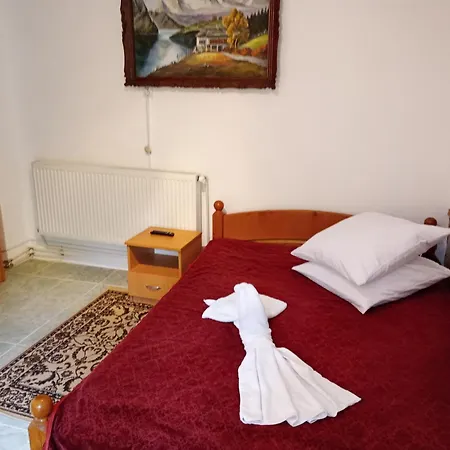 Pensiunea Irina 3 Vendégház Zărneşti