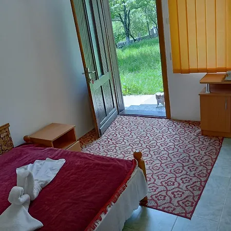 Pensiunea Irina 3 Guest house Zarnesti