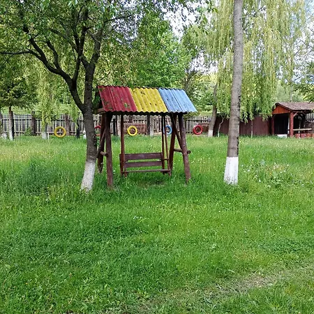 Guest house Pensiunea Irina 3 Zarnesti