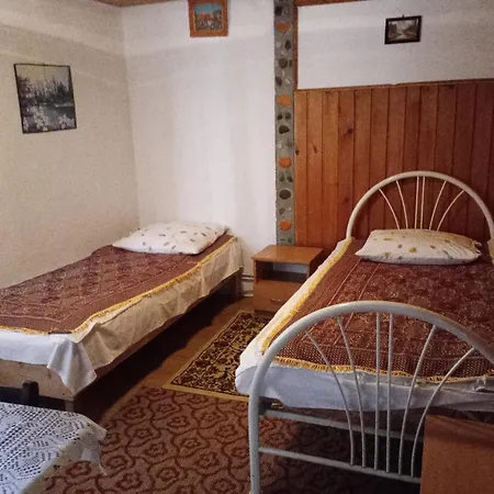 Pensiunea Irina 3 2* Zarnesti