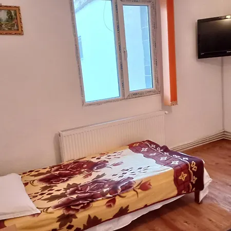 Guest house Pensiunea Irina 3