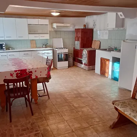 Pensiunea Irina 3 Guest house