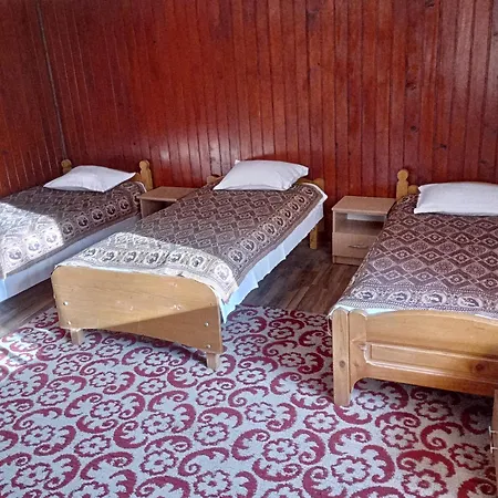 Guest house Pensiunea Irina 3