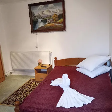 Pensiunea Irina 3 Zărneşti