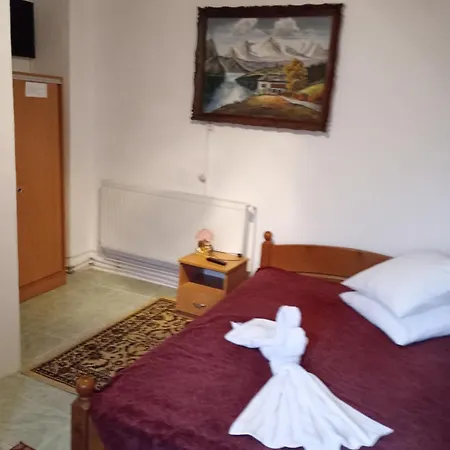 Pensiunea Irina 3 Vendégház