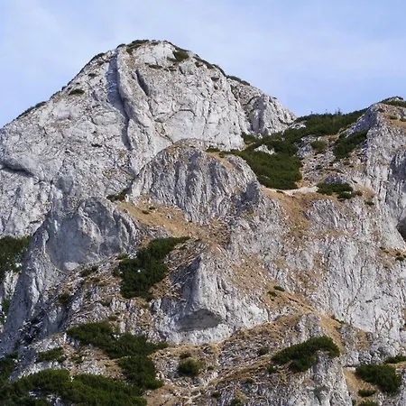 Pensiunea Irina 3 2*