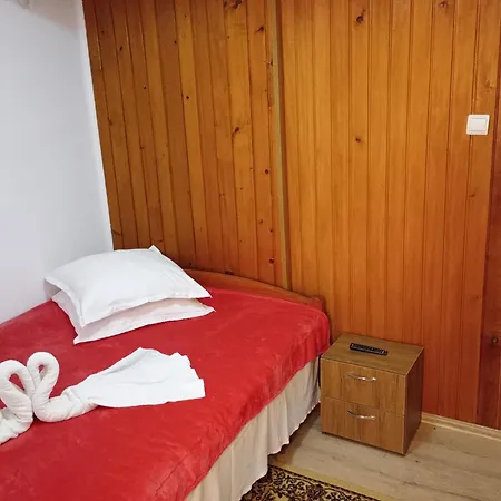 Pensiunea Irina 3 Guest house 2*
