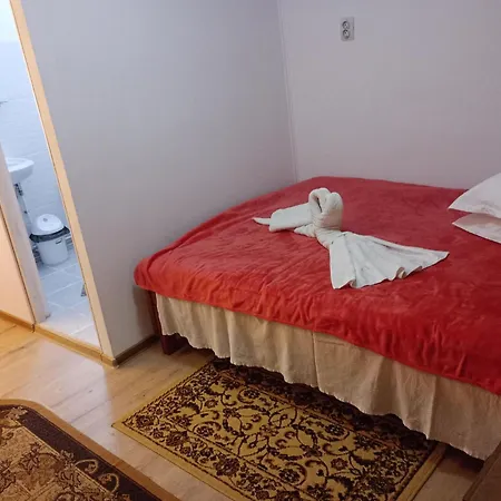 Pensiunea Irina 3 Guest house Zarnesti