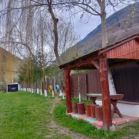 Guest house Pensiunea Irina 3 2*