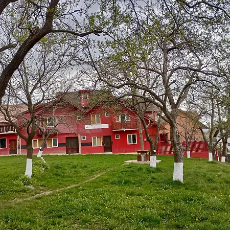 Pensiunea Irina 3 Zărneşti