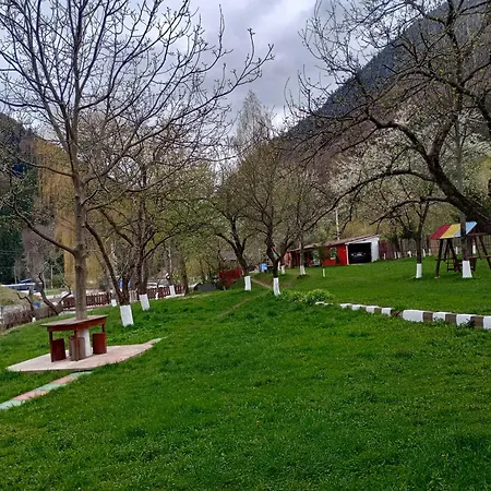 Pensiunea Irina 3 Guest house