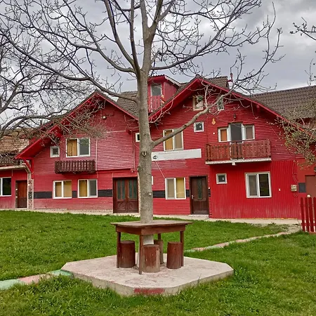 Guest house Pensiunea Irina 3 Zarnesti