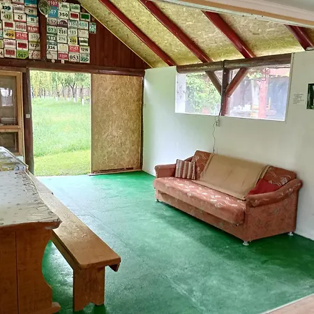 Pensiunea Irina 3 Guest house Zarnesti