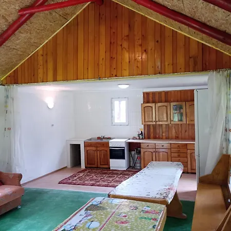 Guest house Pensiunea Irina 3 2*